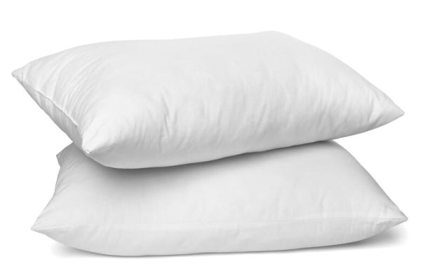 Sarah Jayne Soft Comfortable Pillow Pillow