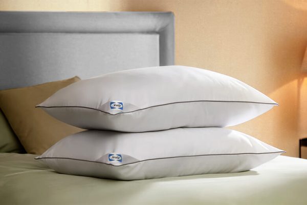 Sealy Anti Pillow |