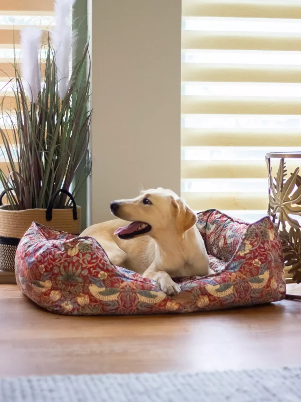 Morris Co Strawberry Thief Dog Bed Red