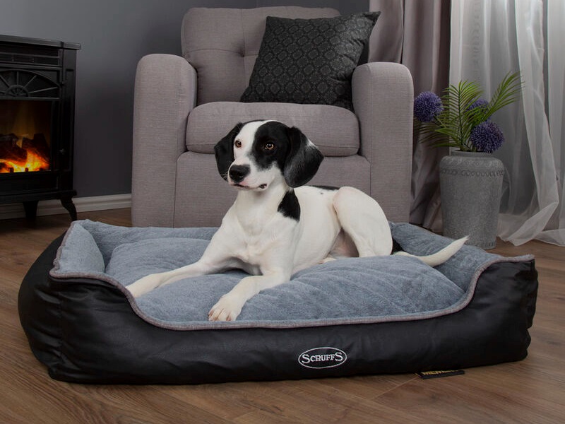 Scruffs Chateau Box Bed Dove Medium 60 x 50cm Dog Bed