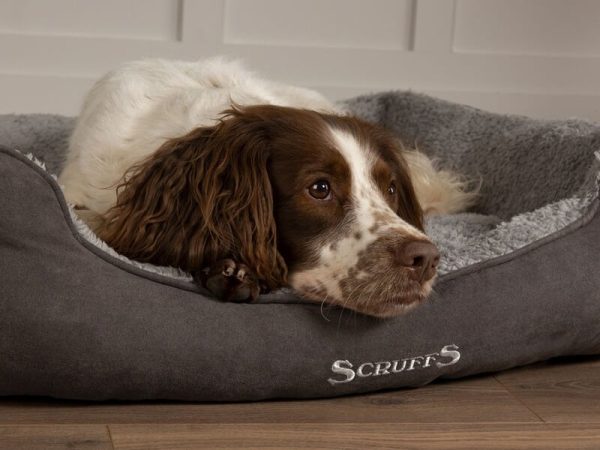 Scruffs Cosy Box Bed Small 50 x 40cm Dog Bed